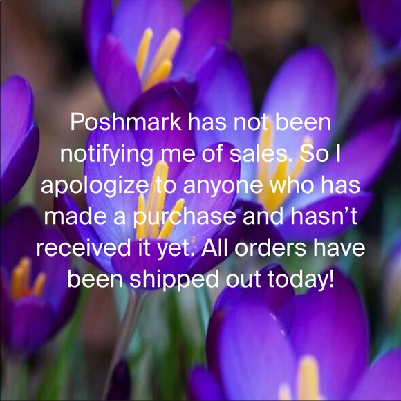 Poshmark - Picture 1 of 1
